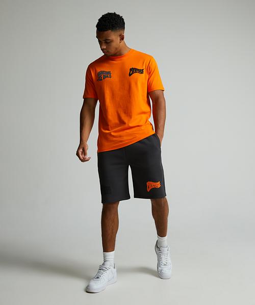 Lotto Short